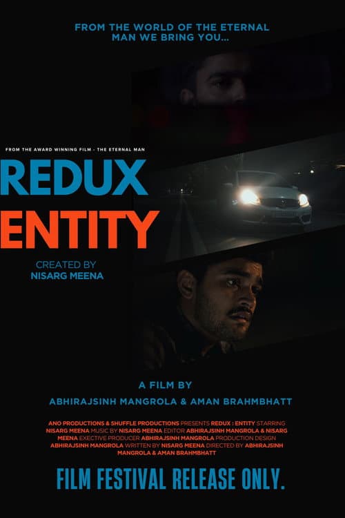 Redux entity poster